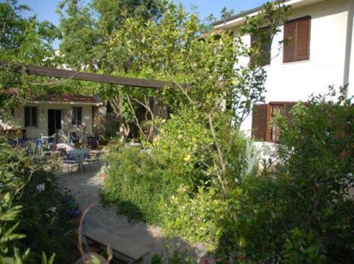 Misafir Evi Hotel Kayakoy Exterior photo